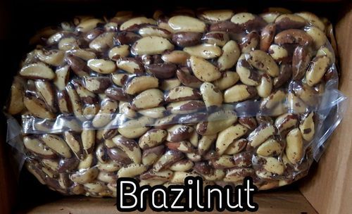 Brazil Nuts With 6 Months Shelf Life And 99% Purity And 66.43gm Fat