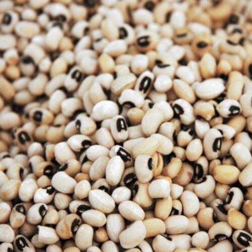 High Protein No Artificial Color Natural Taste Dried Organic Black Eyed Beans