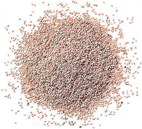 White Chia Seed With 1 Year Shelf Life and Packaging Size 25 Kg, 99% Purity