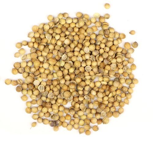 Yellow Brown Coriander Seeds