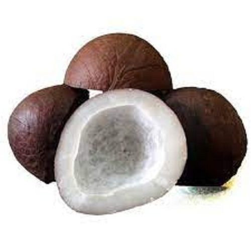 Round Dark Brown Common Whole Dried Coconut