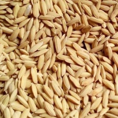 100% Pure And Dried Light Brown Medium Grain Paddy Rice With 12 Months Shelf Life