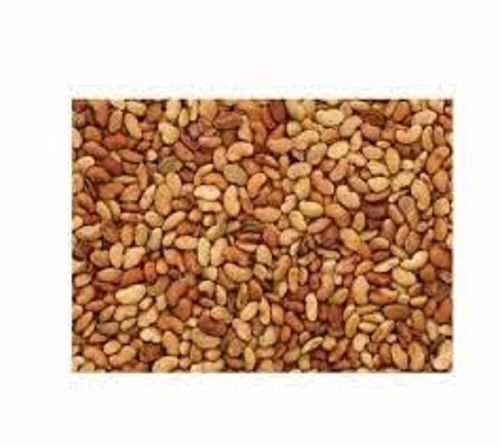 100 Percent Pure And Fresh Light Brown A Grade Fodder Seeds