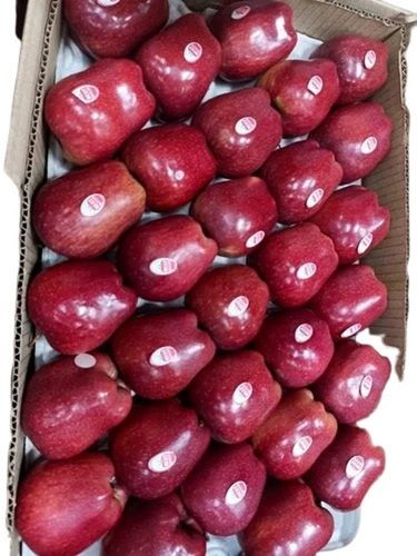 Red Commonly Cultivated Round Sweet Glutinous Kashmiri Apple Good For Health