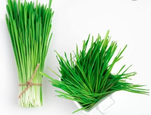 Green Wheatgrass, Good For Health And No Artificial Flavour