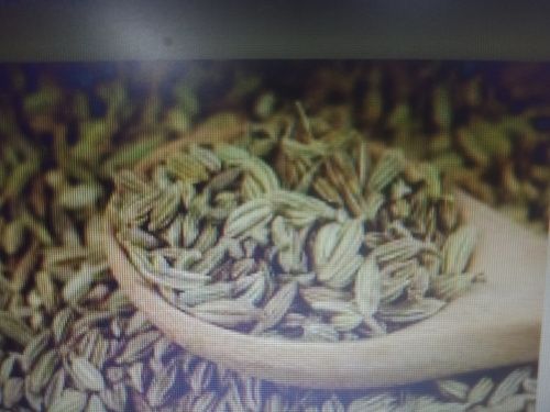 No Artificial Color Added Rich In Taste Good Quality Hygienic Fennel seeds 