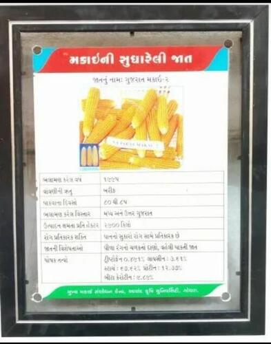 अनुकूलित डिजाइन और आकार के साथ ऐक्रेलिक सिंथेटिक फोटो फ्रेम