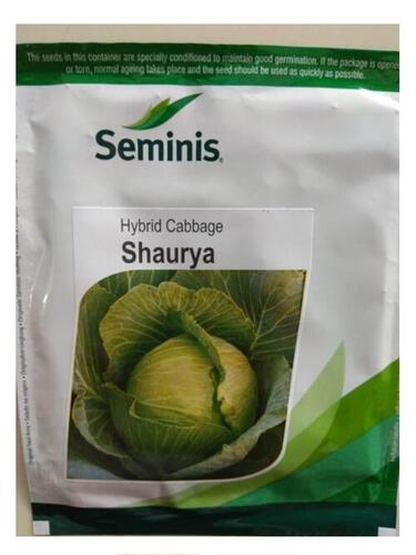 Hybrid Shaurya Cabbage Seeds With Packaging Size 1 Kg and 6 Months Shelf Life