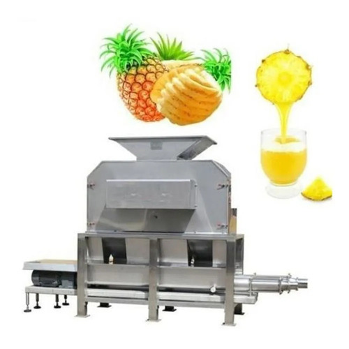 Automatic Fruit Processing Machinery Capacity: 500 Kg-hr Kg/hr