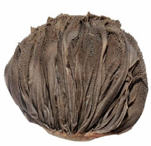 Gluten Free Nutrient Enriched Healthy 100 Percent Purity Frozen Halal Salted Omasum