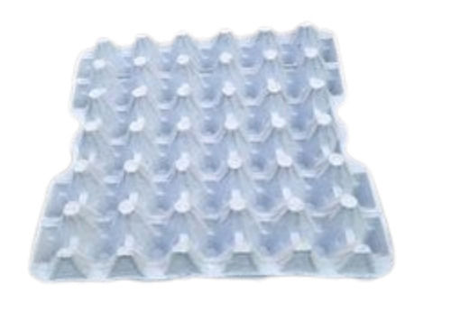 White Paper Material Egg Packaging Tray