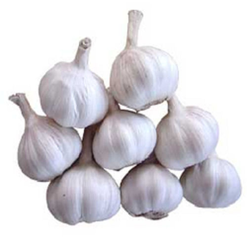 Hygienically Packed Fresh Garlic