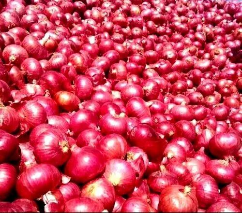 Red Onion