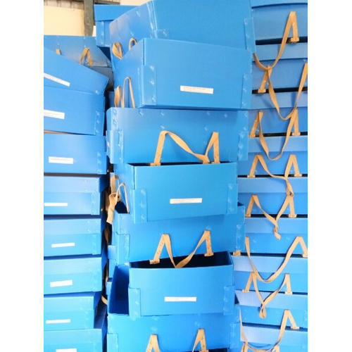 Blue Recyclable Polypropylene (Pp) Partition Boxes For Commercial Shipment