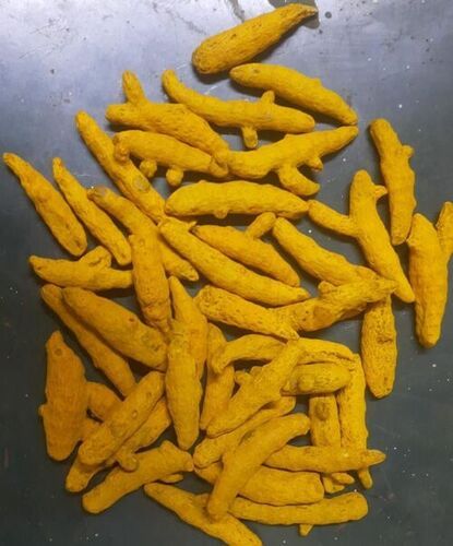 Dry Turmeric Finger