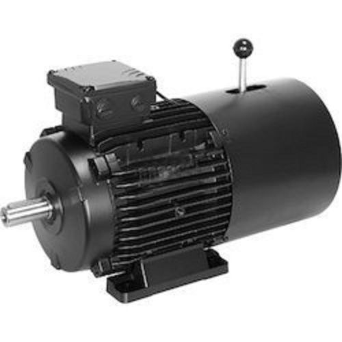 Black Brake Motor  Efficacy: Ie1