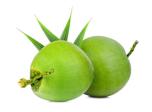 Export Quality 100% Fresh Green Coconut