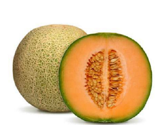 Healthy And Nutritious Rich In Protein Sweet Soil Cultivation Glutinous Muskmelon