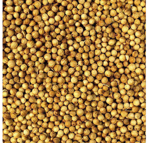 Free From Impurities Low Fat Easy To Digest 99% Pure Tropical Crop Dried Coriander Seeds