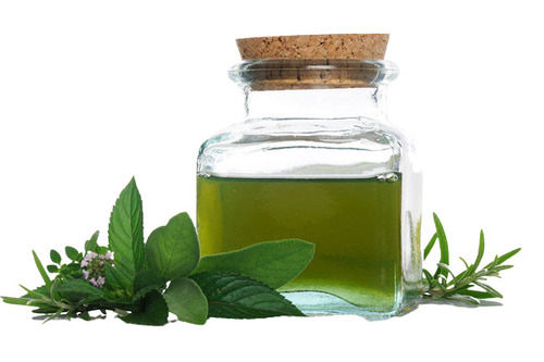Hygienic Prepared Dry Placed Spearmint Essential Oil For Pain Relief And Boost Memory