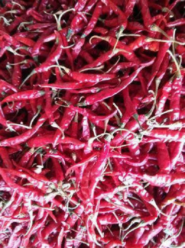 Pesticide Free No Artificial Flavour Raw Dry Spicy Red Chilli For Stuffings And Pickle Mixtures