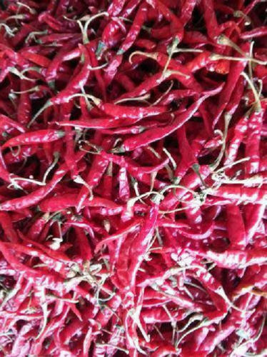 Pesticide Free No Artificial Flavour Raw Dry Spicy Red Chilli For Stuffings And Pickle Mixtures Body Material: Plastic