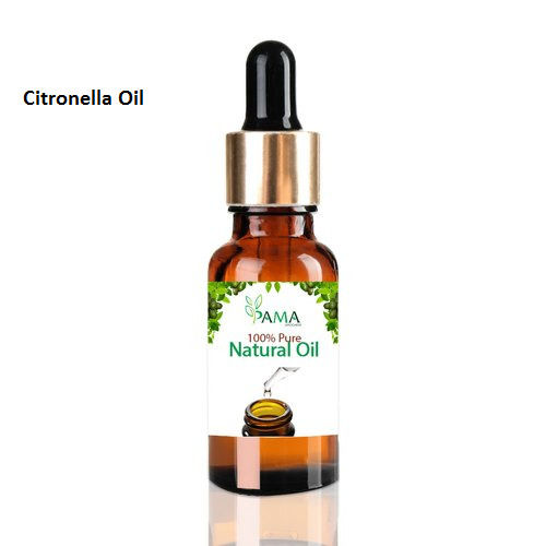 100% Natural Citronella Essential Oil For Pharmaceutical, 25 Kgs Packing