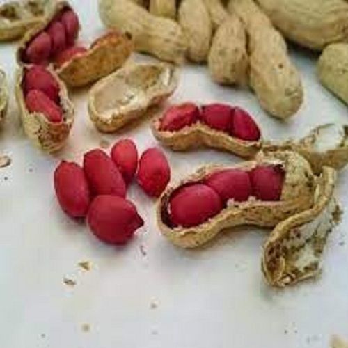 100% Pure A Grade Common Cultivation Brown Healthy Groundnut Seed