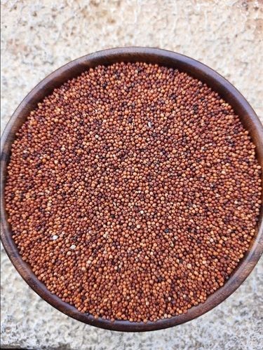 100% Poure Machine Cleaned Dried Brown Whole Finger Millet (Ragi)