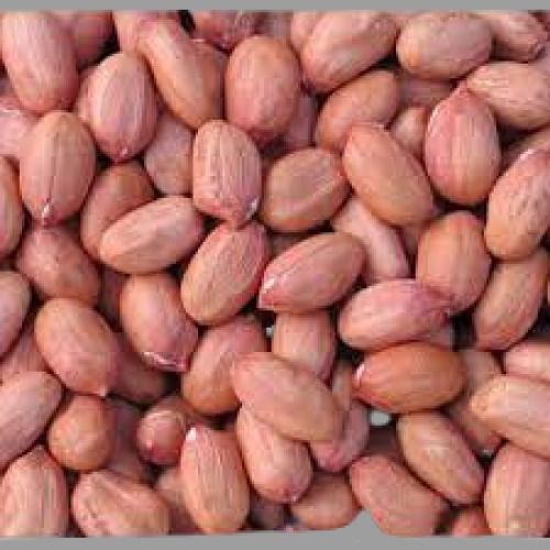 Highly Nutritious Naturally Grown Brown Edible Groundnut Seeds Admixture (%): 20%