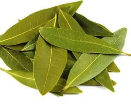100% Pure Whole Green Bay Leaves (Tej Patta) For Cooking And Medicinal Use