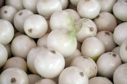 A Grade White Onion