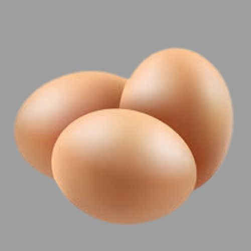 High In Protein Oval Shape Brown Egg