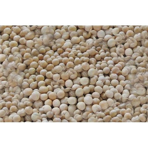 Machine Cleaned Folate And Protein Rich Whole White Pea Beans For Human Consumption