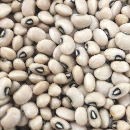 Machine Cleaned Rich Antioxidant Dried Whole Black Eyed Beans (Lobia)