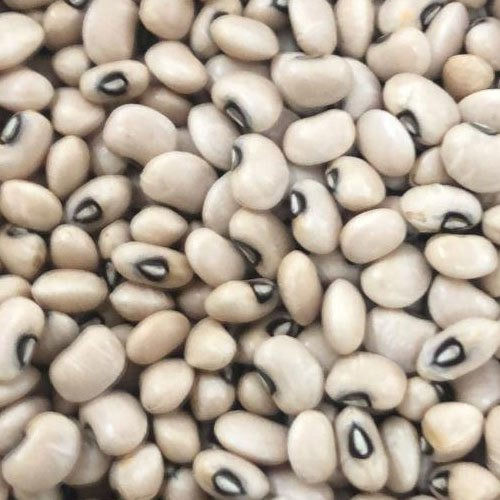 Machine Cleaned Rich Antioxidant Dried Whole Black Eyed Beans (Lobia) Application: Industrial