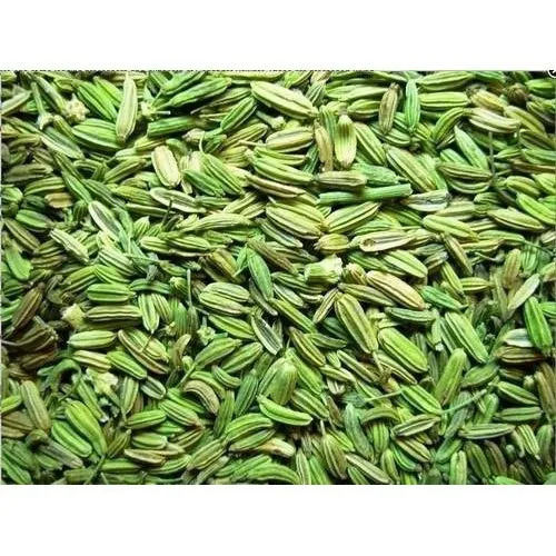 Mild Sweet Flavor Dried Whole Fennel Seeds (Saunf) For Cooking And Mouth Freshener