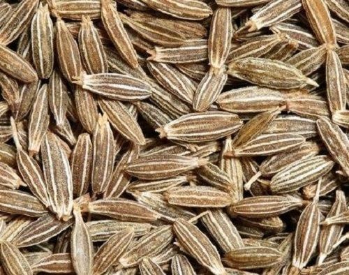 Pure And Natural Commonly Cultivated Dried Raw Cumin Seeds