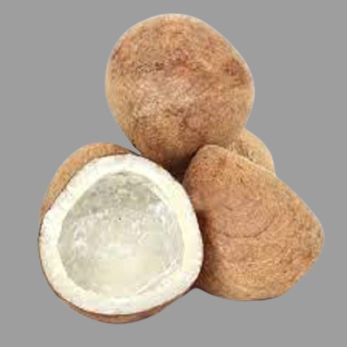 Brown Dry Coconut at Best Price in Dindigul Agritradz