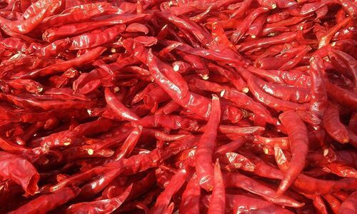  Red Chilli Powder