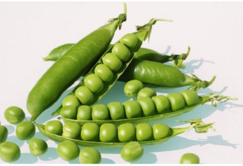 Brown 5% Admixture Winter Season Green Pea Seeds For Agricultural Use 