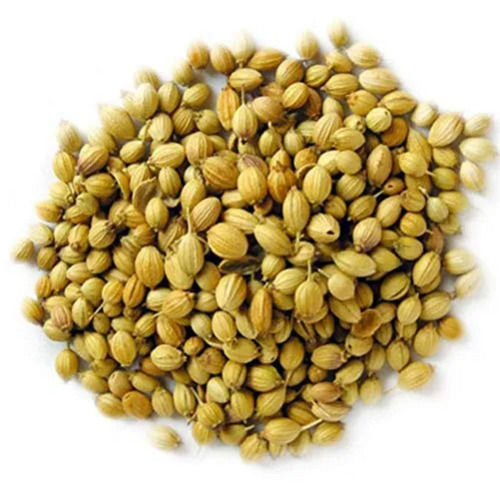 Aromatic Hot And Pungent Whole Dried Coriander Seed (Dhaniya) For Cooking