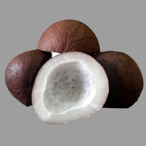 dry coconut