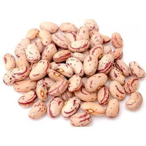 Light Red Whole Dried Uganda Kidney Beans (Chitra Rajma) For Cooking