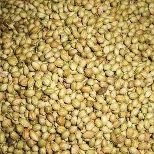 Multicolor Strong Aroma Machine Cleaned Whole Dried Coriander Seed (Dhaniya) For Cooking