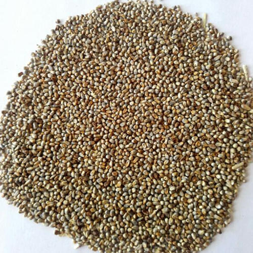 Millet Seeds With 9 Months Shelf Life And Rich In Potassium, Protein And Carbohydrates