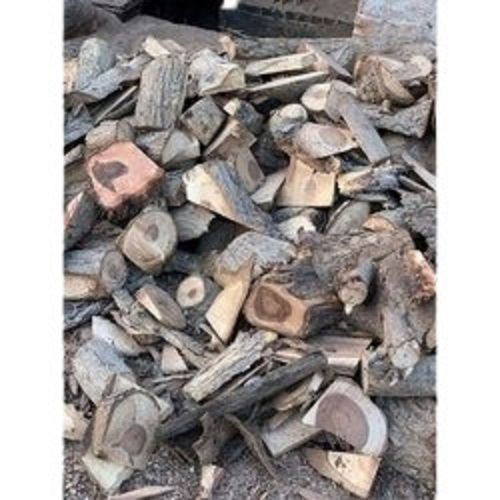 Babool Firewood Wood