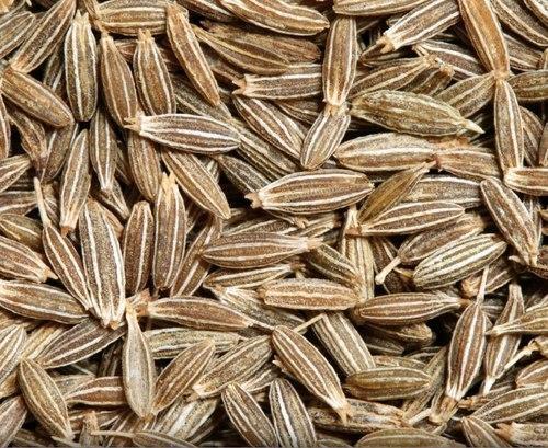 Indian Origin Natural Aroma and Taste Sortex Cumin Seeds