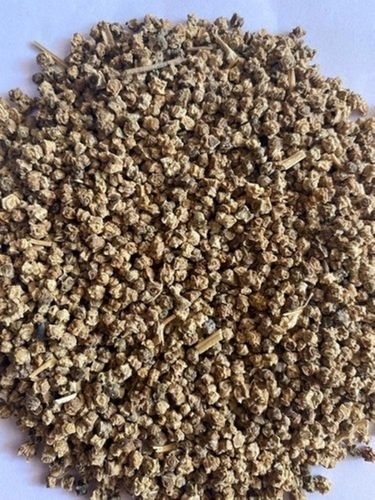 Organically Cultivated A-Grade Pure Hybrid Natural Spinach Seeds Admixture (%): 2%