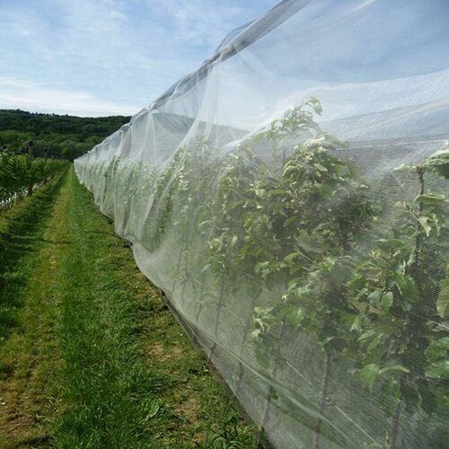 Anti-Insect And UV Protection Plant Support Net